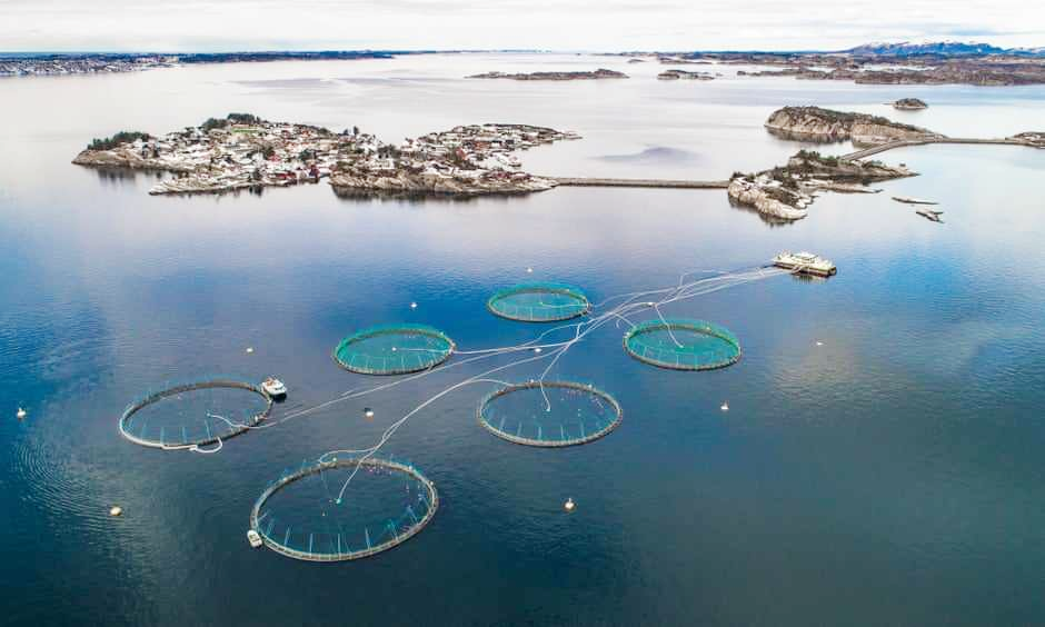 water quality meter water quality sensor